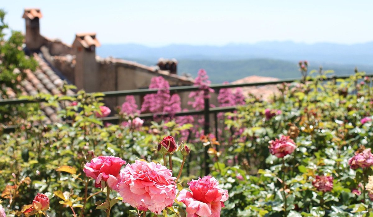 Designing a Balcony Garden with Colour and Scent